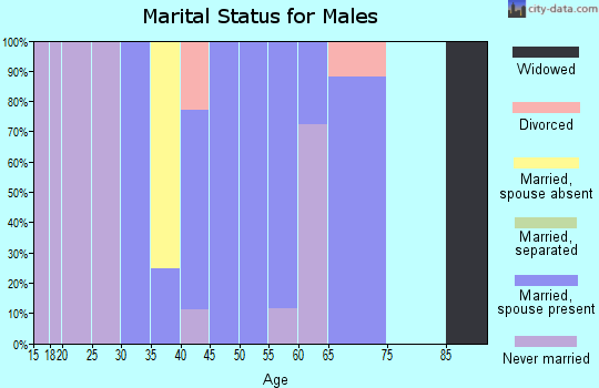 Zip code 26743 marital status for males