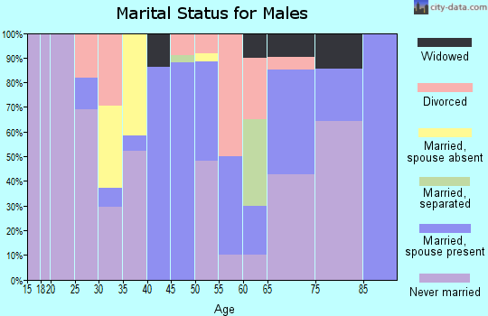 Zip code 26750 marital status for males