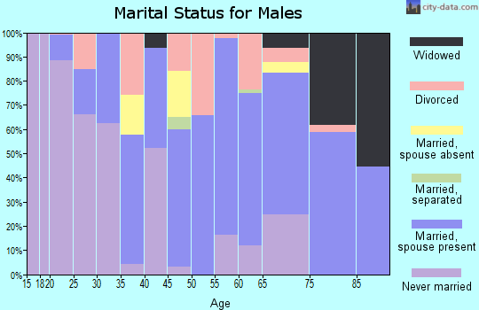 Zip code 26753 marital status for males