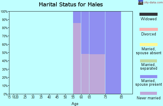 Zip code 26761 marital status for males