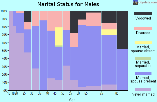 Zip code 26764 marital status for males
