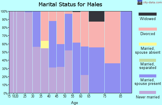 Zip code 26851 marital status for males