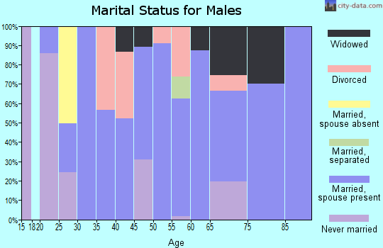 Zip code 27009 marital status for males