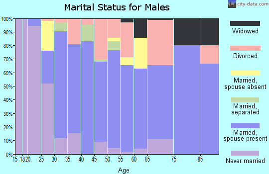 Zip code 27013 marital status for males
