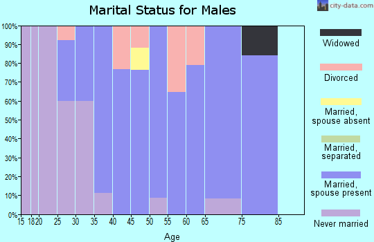 Zip code 27014 marital status for males