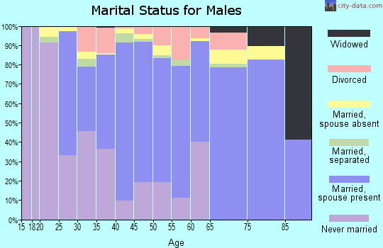 Zip code 27017 marital status for males