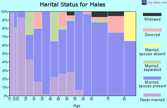 Zip code 27018 marital status for males