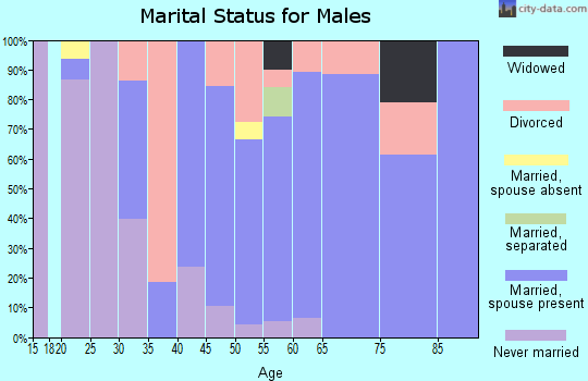 Zip code 27019 marital status for males