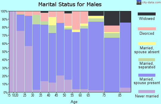 Zip code 27021 marital status for males
