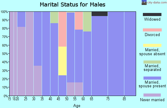 Zip code 27022 marital status for males
