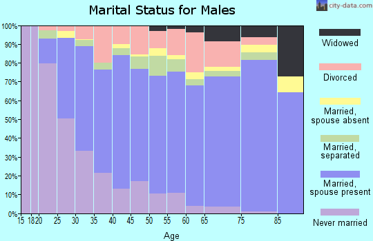 Zip code 27030 marital status for males