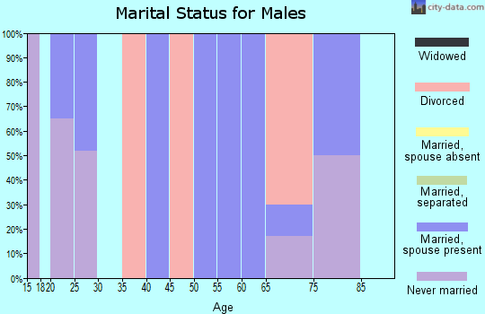 Zip code 27042 marital status for males