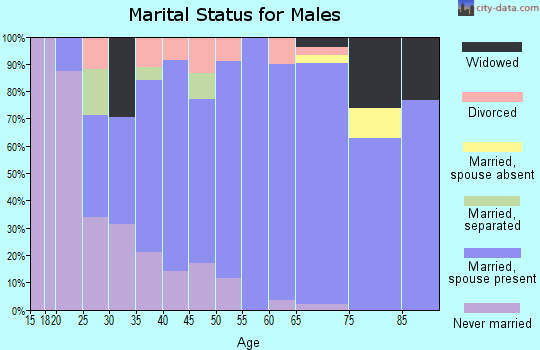 Zip code 27043 marital status for males