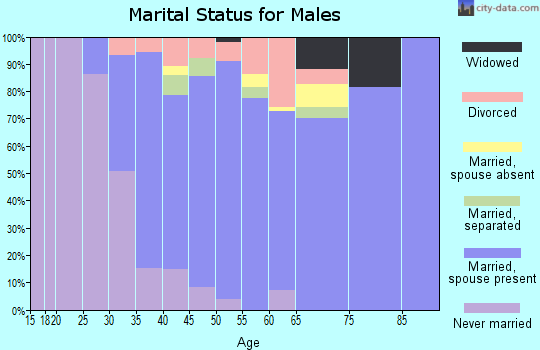 Zip code 27045 marital status for males
