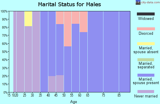 Zip code 27046 marital status for males