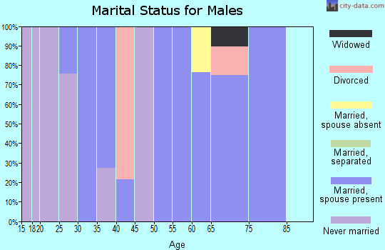 Zip code 27047 marital status for males