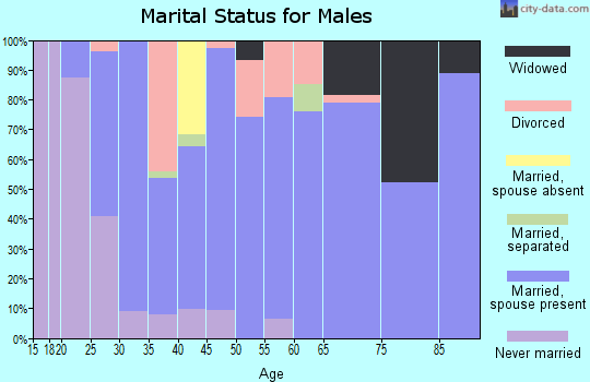 Zip code 27050 marital status for males