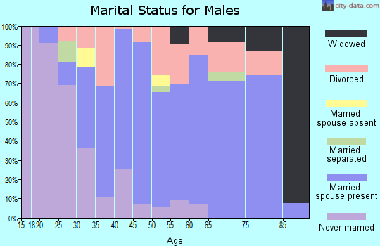Zip code 27051 marital status for males