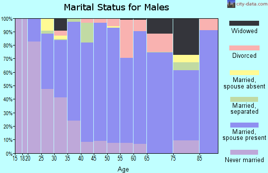Zip code 27052 marital status for males