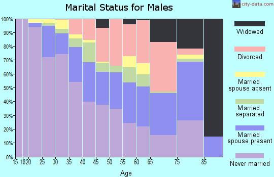 Zip code 27101 marital status for males