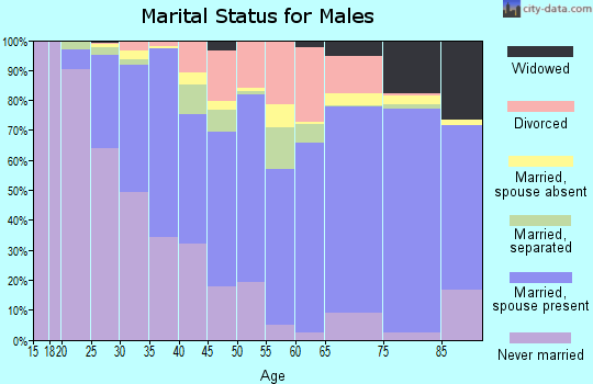 Zip code 27103 marital status for males