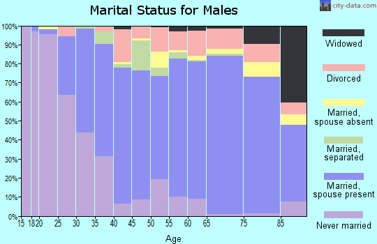 Zip code 27104 marital status for males