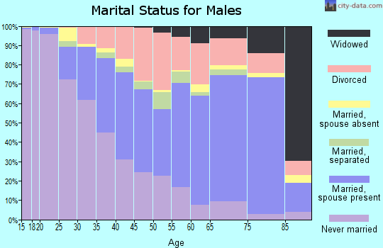 Zip code 27105 marital status for males