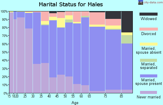 Zip code 27106 marital status for males