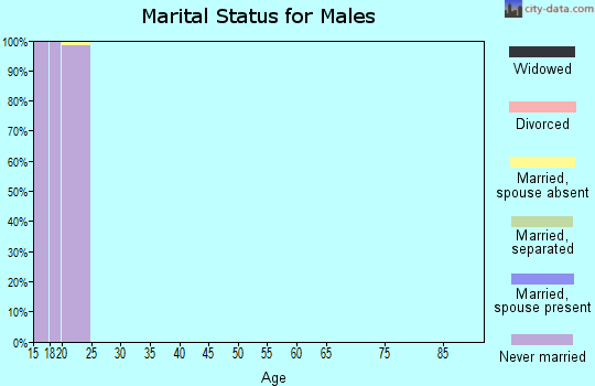 Zip code 27109 marital status for males