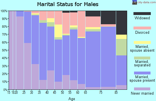 Zip code 27127 marital status for males