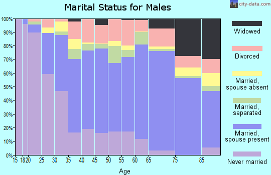 Zip code 27217 marital status for males