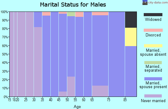 Zip code 27235 marital status for males