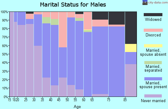 Zip code 27239 marital status for males