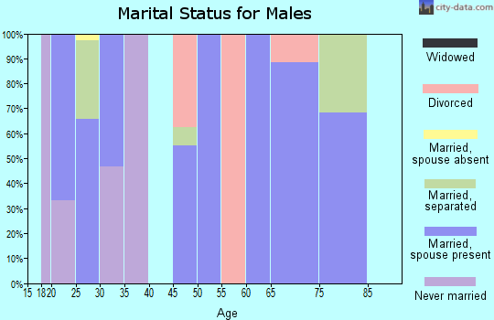 Zip code 27242 marital status for males