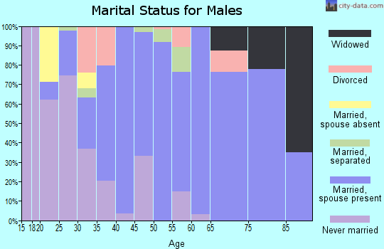 Zip code 27248 marital status for males