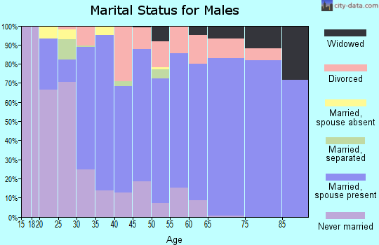 Zip code 27249 marital status for males