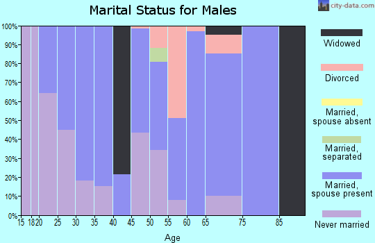 Zip code 27252 marital status for males