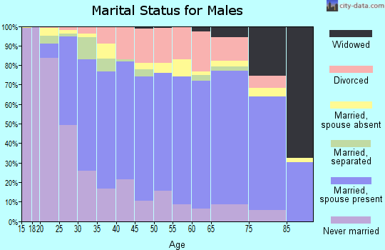 Zip code 27253 marital status for males