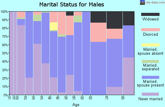 Zip code 27258 marital status for males