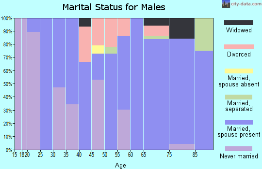 Zip code 27281 marital status for males