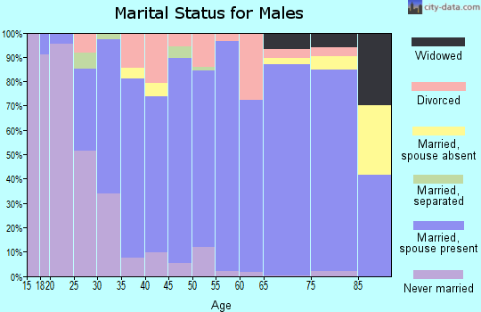 Zip code 27282 marital status for males