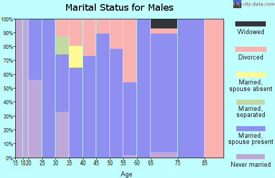 Zip code 27283 marital status for males
