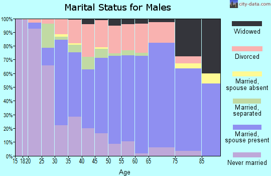 Zip code 27288 marital status for males