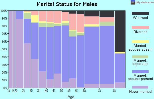 Zip code 27292 marital status for males