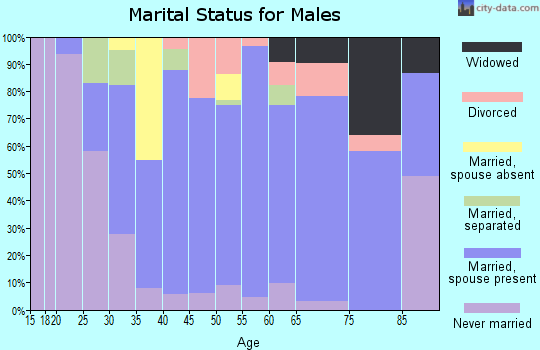 Zip code 27298 marital status for males