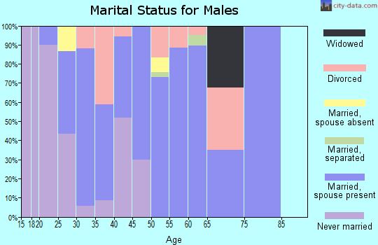 Zip code 27299 marital status for males