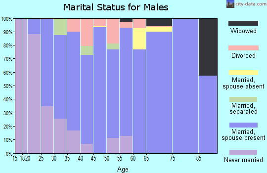 Zip code 27301 marital status for males