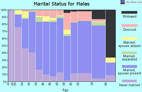 Zip code 27302 marital status for males