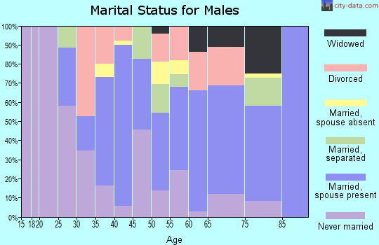 Zip code 27306 marital status for males