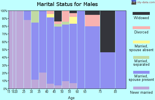 Zip code 27310 marital status for males